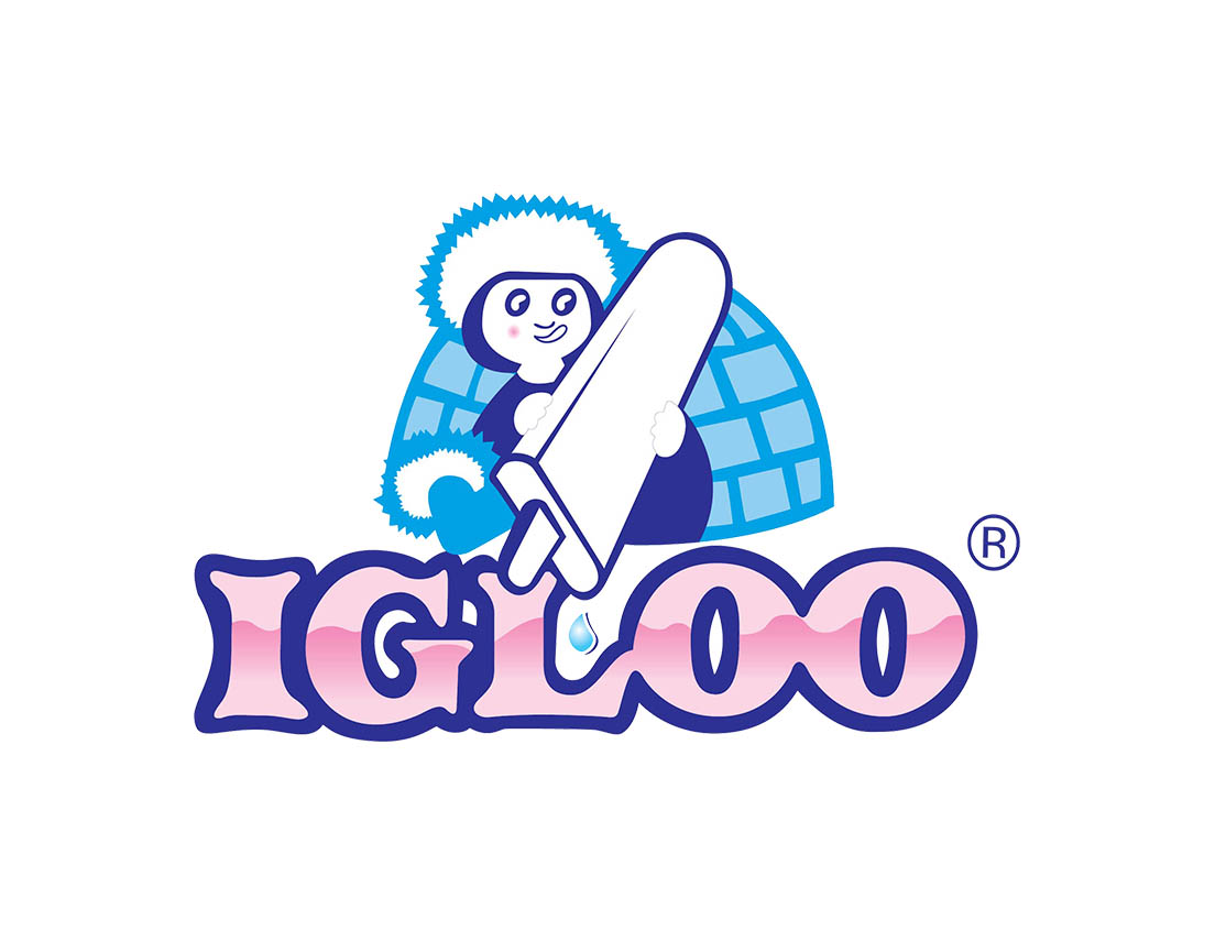 About Igloo